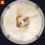 مخلوط کن Pinlo - Image 8