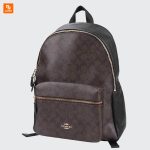 کیف چرمی زنانه Coach - Image 8