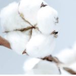 روتختی سه تکه COMO LIVING - Image 3