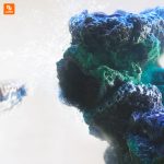 تخته ‌سنگ‌ مرجانی مخصوص آکواریم - Image 2