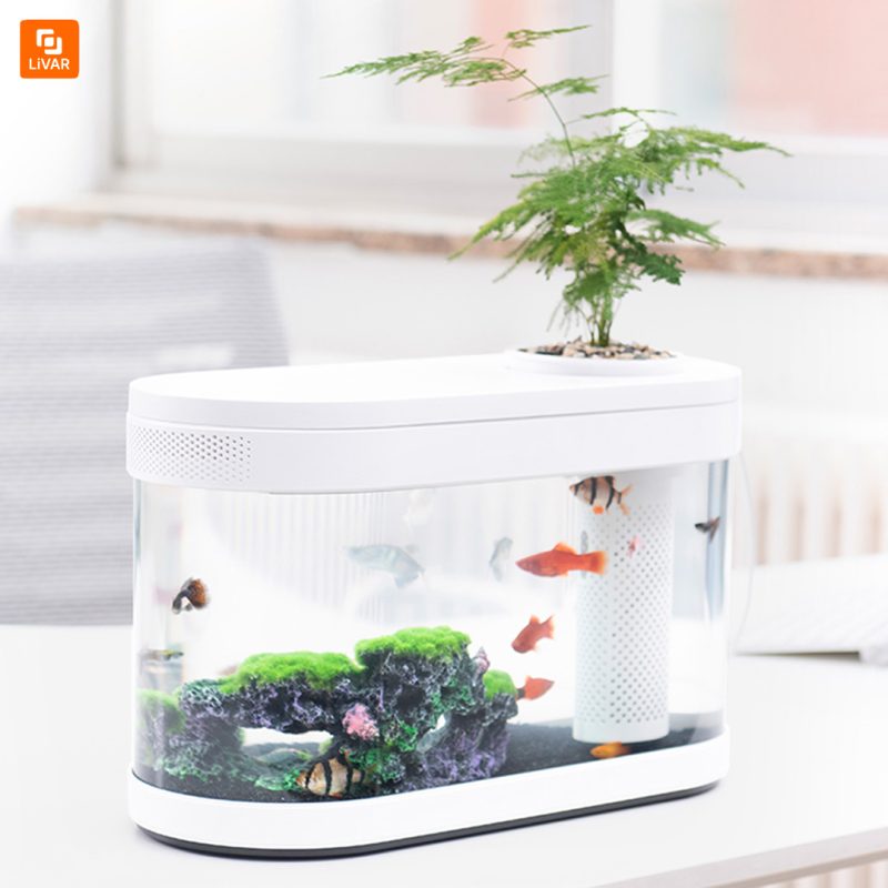 تخته ‌سنگ‌ مرجانی مخصوص آکواریم - Image 4