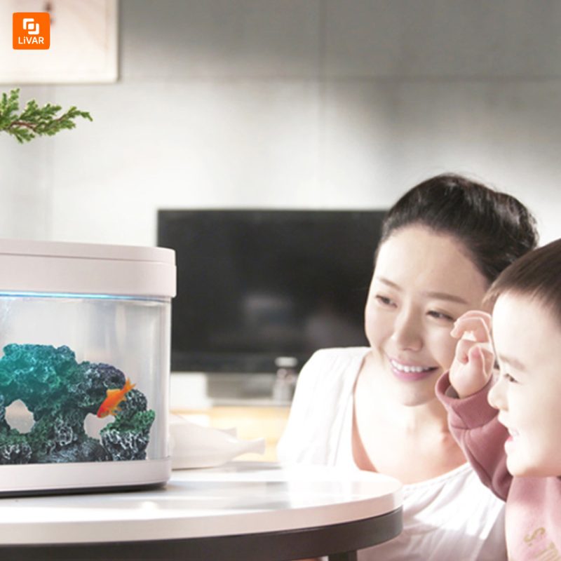 تخته ‌سنگ‌ مرجانی مخصوص آکواریم - Image 5