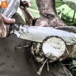 چاقو Handorok 3C - Image 13