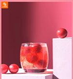 دستگاه آب گازدار ساز رومیزی - Image 12