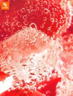 دستگاه آب گازدار ساز رومیزی - Image 9