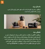 کتری و لیوان‌شوی هوشمند Mingzhan - Image 21