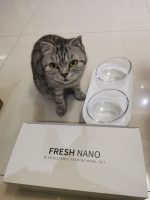 ظرف غذای گربه شیائومی مدل Petkit P5201 - Image 5