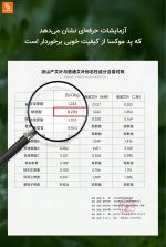 دستگاه شستشو و ماساژ پا چندمنظوره HITH - Image 21